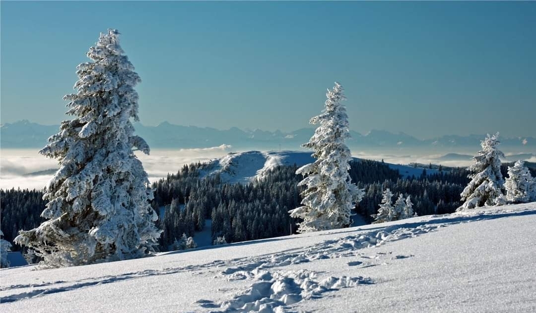 Winter in Bernau 